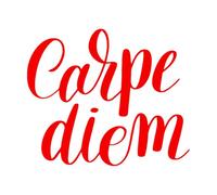 Calcomanías de pared de papel adhesivo Frase inspiradora de Carpe Diem 34x40.3cm Incluye kit de película de transferencia Rojo