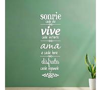 Calcomanías de pared de vinilo Sonrie Cada Dia Vive Smile Every Day In Spanish Life 27x85.2cm Varios tamaños Blanco