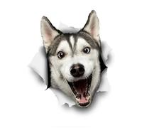 Calcomanías de perro 3D de 15 cm con texto en inglés "Happy Husky Kawaii", a prueba de arañazos, accesorios de coche, calcomanía de vinilo (13 cm)
