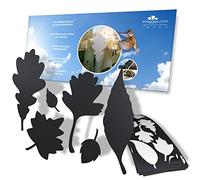 Calcomanías de protección para ventanas, pegatinas anticolisión para evitar que las personas y los pájaros golpeen en el cristal de la ventana, juego de 39 calcomanías de hojas de árbol, color: negro