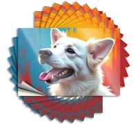 Calcomanías divertidas para autos, retrato colorido de un perro feliz, 10 unidades, decoración de cueva de hombre y accesorios, calcomanías de coche familiar (8 x 12 cm)