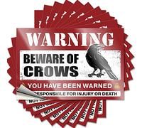Calcomanías divertidas para coche Beware of Crows, 10 unidades, calcomanías divertidas para ventana de coche (6 x 9 cm)