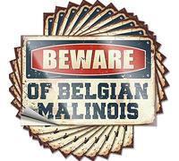 Calcomanías divertidas para coche, con texto en inglés "Beware of Belgian Malinois", 10 unidades de calcomanías de broma para adultos (8 x 12 cm)