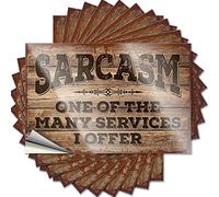 Calcomanías divertidas para coche, diseño de sarcasmo One of The Many Services I Offer, 10 unidades, para decoración del hogar (8 x 12 cm)