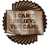 Calcomanías divertidas para coches con texto en inglés "I Can't Believe You Came That's What She Said (8 x 12 cm)