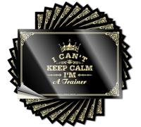 Calcomanías divertidas para coches con texto en inglés "I Can't Keep Calm I'm A Trainer" (8 x 12 cm)