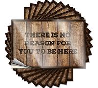 Calcomanías divertidas para coches con texto en inglés "There is No Reason for You to Be Here", 10 unidades de calcomanías para coche (8 x 12 cm)