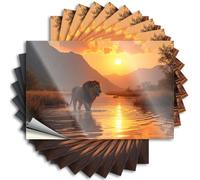 Calcomanías divertidas para coches, león caminando en el agua al atardecer, 10 calcomanías divertidas para parachoques (8 x 12 cm)