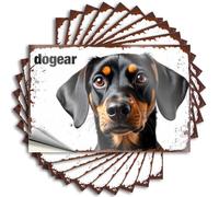 Calcomanías divertidas para coches y perros: Un primer plano de tu amigo peludo, 10 unidades, decoración de cueva de hombre y accesorios, calcomanías de coche familiar (6 x 9 cm)