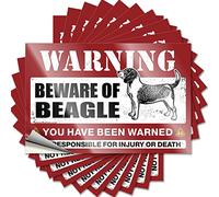 Calcomanías divertidas para tu coche, cuidado con el Beagle, 10 unidades, divertidas calcomanías para coche, letreros divertidos para bar (8 x 12 cm)