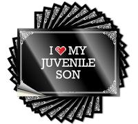 Calcomanías estéticas divertidas de primavera, decoración de habitación de niños, bonito diseño para cuaderno al aire libre, vinilo extraíble con casco "I Love My Juvenile Son" (8 x 12 cm)