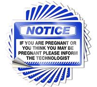 Calcomanías para aviso de coche si estás embarazada o crees que puedes ser, 10 calcomanías de coche de Navidad Kawaii (8 x 12 cm)