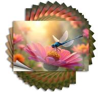 Calcomanías para coche, libélula bailando sobre una flor rosa, 10 calcomanías divertidas para parachoques (12 x 18 cm)