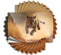 Calcomanías para coches Un leopardo está corriendo en la naturaleza, 10 calcomanías para ventana de coche (8 x 12 cm)