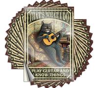 Calcomanías para decoración de bar al aire libre, con texto en inglés "Thats What I Do I Play Guitar and I Know Things & Funny Door" (20 x 30 cm, 1 unidad)