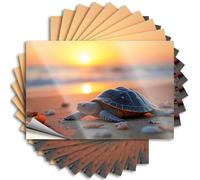 Calcomanías para parachoques, Sunset Serenity: A Turtle's Journey On The Beach, 10 calcomanías de mecánico, divertidas calcomanías para parachoques para adultos (8 x 12 cm)