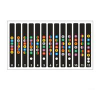 Calcomanías para trastes de guitarra que apoyan el desarrollo de la teoría musical a través del refuerzo visual de intervalos tonos de acordes y grados de escala (negro)
