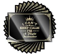 Calcomanías para tu coche I Can't Keep Calm I'm A Flight Instructor, pegatinas para caja de herramientas, calcomanías para ventana de coche (12 x 18 cm)