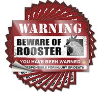 Calcomanías y calcomanías divertidas para coche, cuidado con el gallo, 10 unidades, para caja de herramientas y calcomanías (12 x 18 cm)