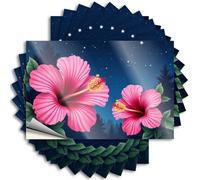 Calcomanías y calcomanías para coche, diseño de paraíso tropical, 10 unidades, divertidas calcomanías para decoración de cueva de hombre y accesorios (8 x 12 cm)