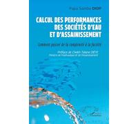 Calcul des performances des sociétés d'eau et d'assainissement: Comment passer de la complexité à la facilité