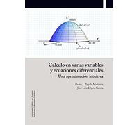 Cálculo en varias variables y ecuaciones diferenciales: Una aproximación intuitiva (Colección Matemática e Informática)