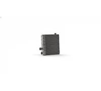 Calefactor Aletas refrigeración soldadas AH 343 000S MAHLE