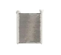 Calefactor D6R018TT THERMOTEC para RENAULT DACIA
