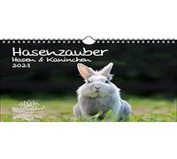 Calendario 2023 de Hasenzauber con conejos y conejos, DIN A4, diseño de conejo
