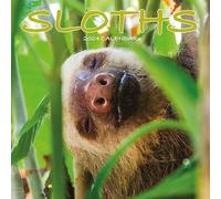 Calendario 2024 de perezosos