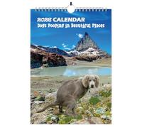 Calendario 2025 con diseño de perros caca en hermosos lugares, divertido calendario de caca de perros, regalos tontos, ideas groseras de Navidad, cumpleaños, Papá Noel, calendario mensual de pared,