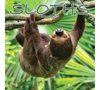 Calendario 2025 de perezosos