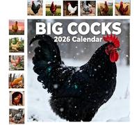 Calendario 2026, calendario de pared para cachorros Labrador Retriever, calendario de pared, calendario de gallo, gatos de terror caprichosos, cuaderno de planificación colgante de papel para familia