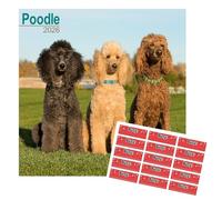 Calendario 2026 con diseño de caniche, calendario cuadrado de pared, 16 meses, con pegatinas de organización