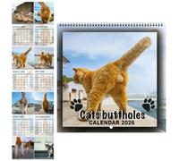 Calendario 2026 de bola de gato, divertido calendario de pared con divertidos momentos felinos y humor de gato, 12 planificadores mensuales, tema de gatos lindos que recuerda el humor para los amantes