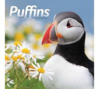 Calendario 2026 de frailecillos