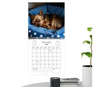 Calendario 2026 para perros, divertido planificador de pared de 12 meses, herramienta de planificación y organización mensual para dormitorio, sala de estar, cocina, aula, sala de reuniones y