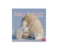 Calendario 2026 Pared Mes Vista Baby Animals Legami