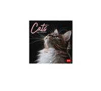 Calendario 2026 Pared Mes Vista Cats Legami