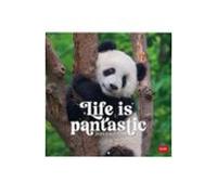 Calendario 2026 Pared Mes Vista Pandastic Legami