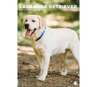 Calendario 2027 de perro labrador retriever, A3, a todo color, con espiral (CRU)