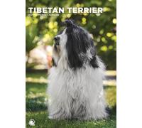 Calendario 2027 de perro terrier tibetano, A3, a todo color, con espiral