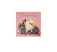 Legami - Calendario 2027 Pared, Honey Bunny, 12 meses, 18 x 18 cm