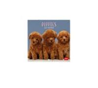 Legami - Calendario 2027 Pared, Puppies, 12 meses, 18 x 18 cm