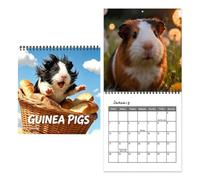Calendario anual de pared 2027 con diseño de ratón, diseño mensual | Calendario de pared con bloques diarios a rayas en espiral para programación de citas, organización de aula, profesor