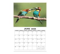 Calendario Colibrí 2026 - Calendario Colibrí lindo 13 meses, enero 2026 - enero de 2027, Wall Planner para amantes de la naturaleza Bird Lovers Home Living Room Study Room Office School School Sch