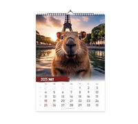 Calendario Dachshund 2025-12 Planificador Mensual, Calendario Mensual Para Perros | Divertido Planificador De Perros, Calendario De Pared Para Animales 2025 Calendario Para Cachorros De 12 Meses