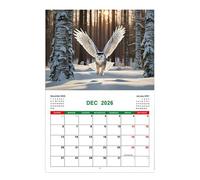 Calendario de búho 2026, planificador de pared de 12 meses de enero a diciembre, bonito patrón de animales para escuela, gimnasio, programación diaria, planificación mensual, organización del hogar