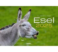 Calendario de burro 2025: el calendario animal con los encantadores nombres calendario de pared