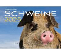 Calendario de cerdos 2025: el calendario animal con los nombres encantadores